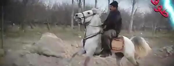 عکس جلال اجلالی