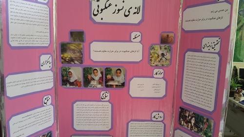 عکسهای جابربن حیان