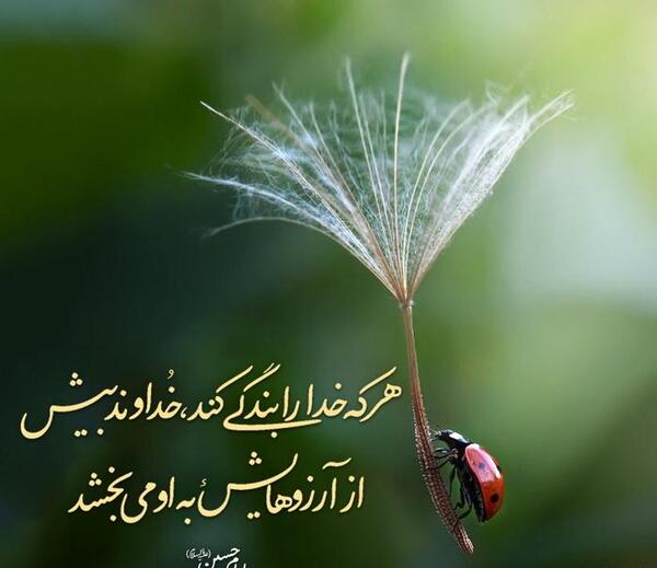 عکس حدیث خدا