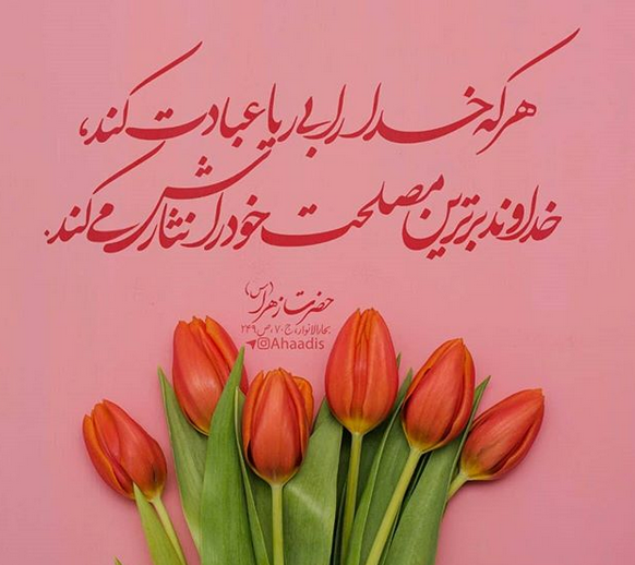 عکس حدیث زهرا