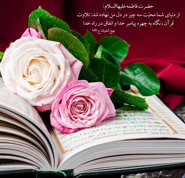 عکس حدیث زهرا
