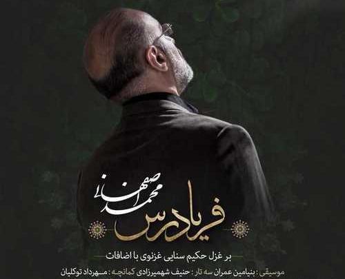 عکس حامد سنایی