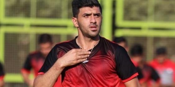 عکس حامد شیری