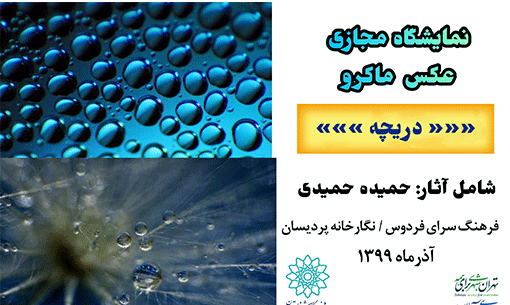عکس حمیده حمیدی