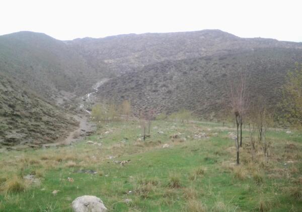 عکس خدیجه بختیاری