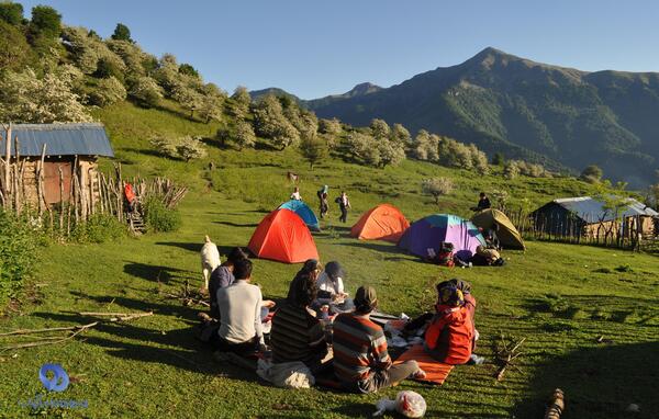 عکس خلیل دشتی