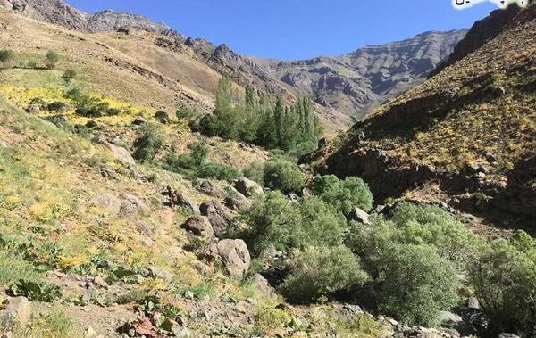 عکس کوه خلیل