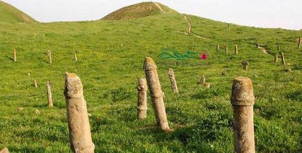 دانلود عکس خالد نبی