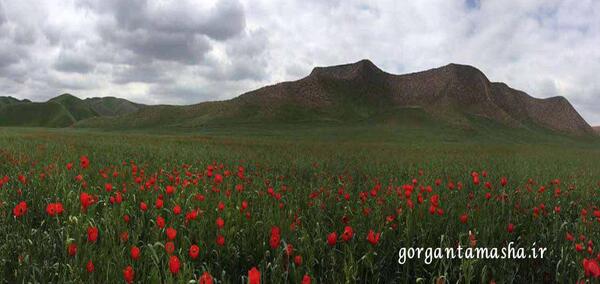 عکس طبیعت خالد نبی