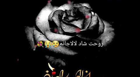 عکس خاله جون روحت شاد