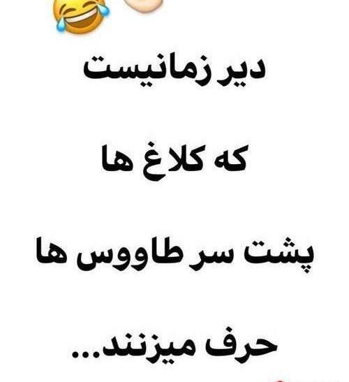 عکس خواهر حسود