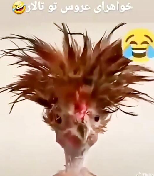 عکس خواهر طنز