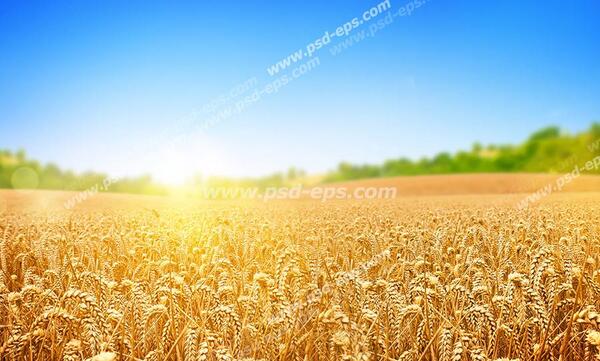 عکس تابش خورشید