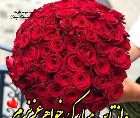 عکس خاله جون ولنتاین مبارک
