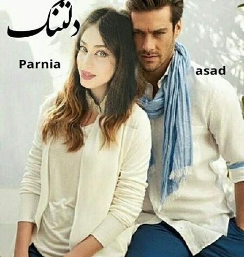 عکس خاطره در رمان دلتنگ