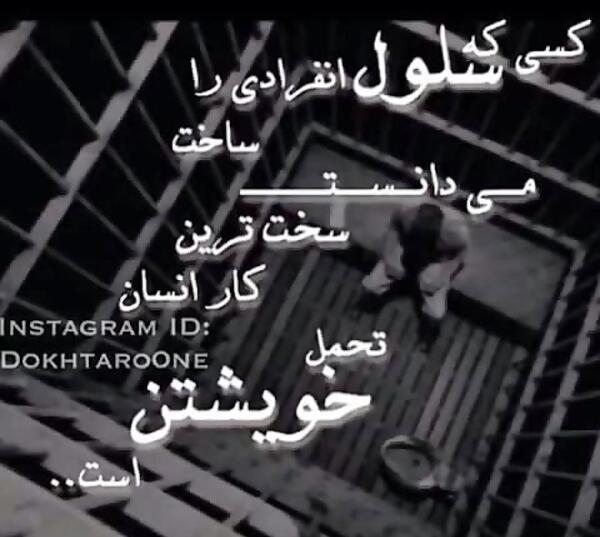 عکس دانیال شمالی