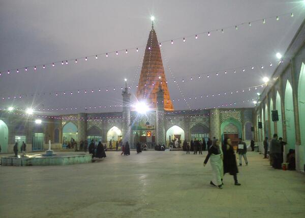 عکس دانیال شوش