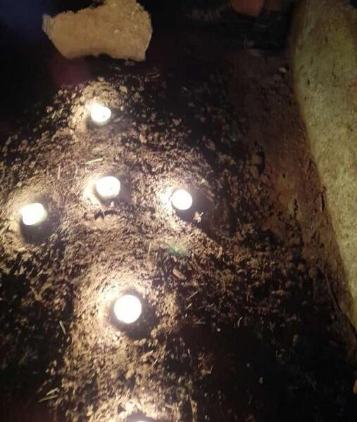 عکس دانیال ناصری