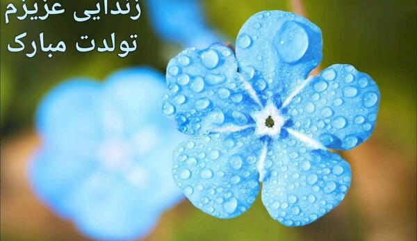 عکس زن دایی تولدت مبارک