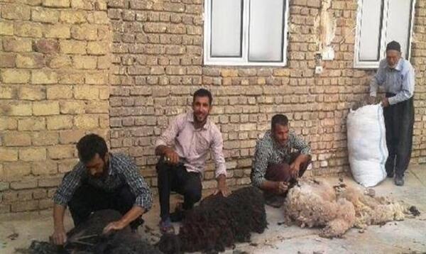 عکس داودآباد