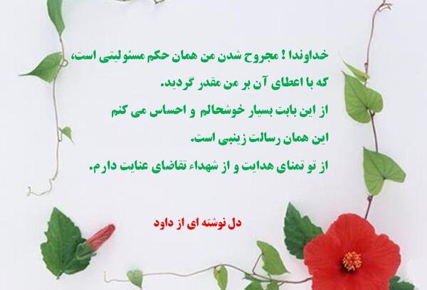 عکس داوود سلطانی