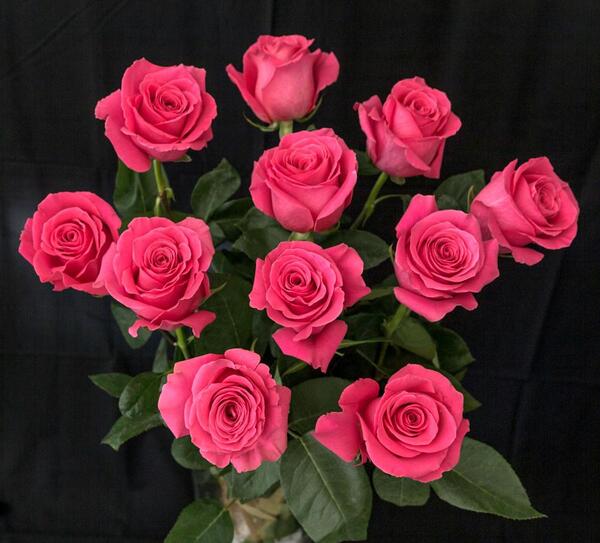 عکس دوست دارم زیاد
