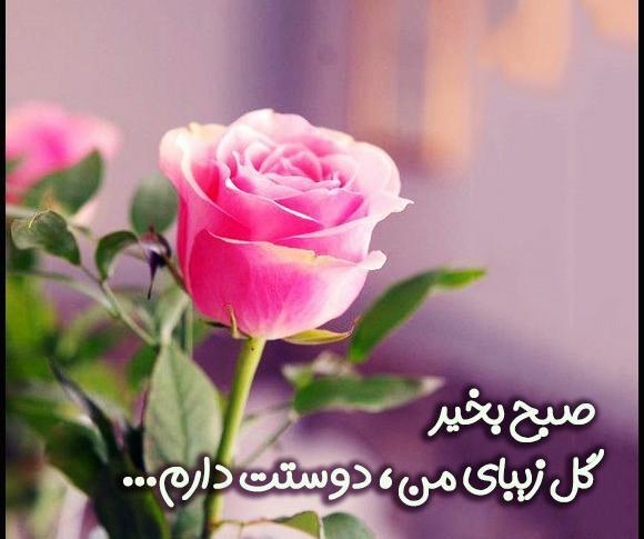 عکس گل با دوستت دارم