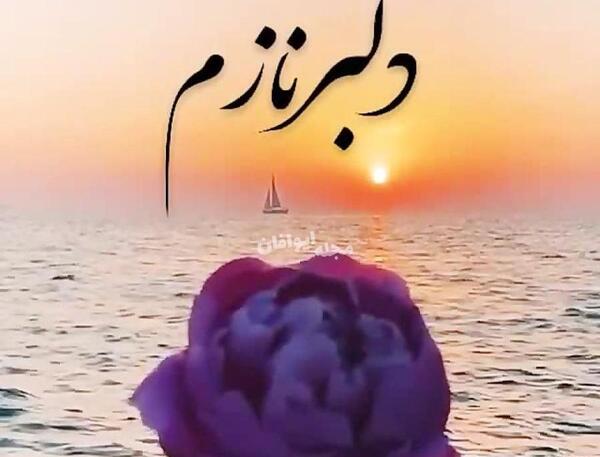 عکس دلبر نازم