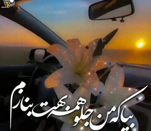 عکس دلبر نازم