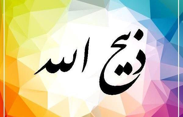 عکس ذبیح الله رمضانی