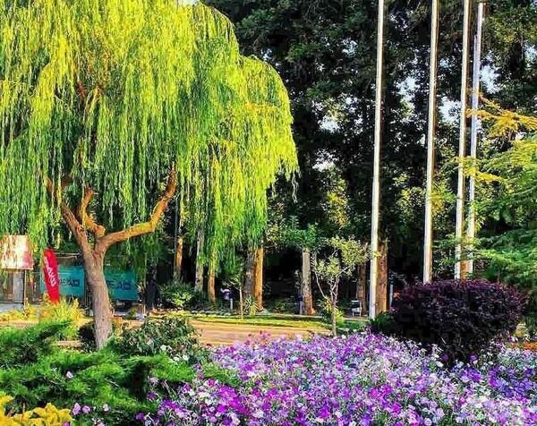 عکس رقیه غضنفر
