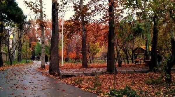 عکس رقیه غضنفر