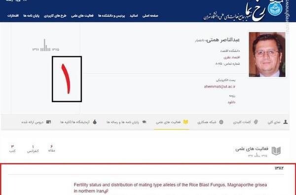عکس رقیه همتی
