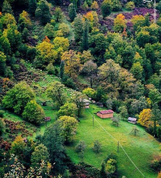 عکسهای رویایی طبیعت