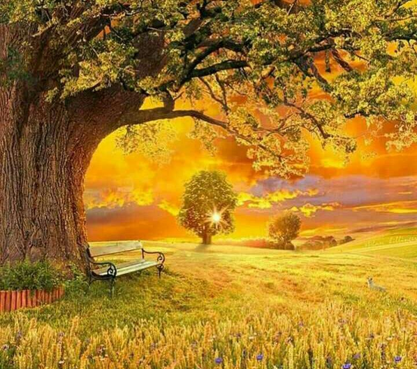 عکسهای رویایی طبیعت