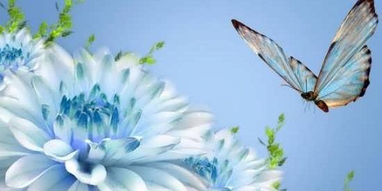 عکس رویایی گلها