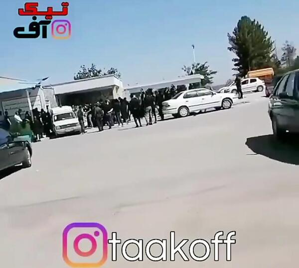 عکس قبر ریحانه عامری