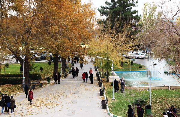 عکس رضا رضوان