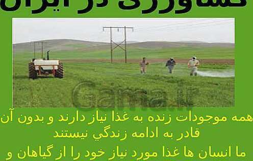عکس رضوان کشاورز
