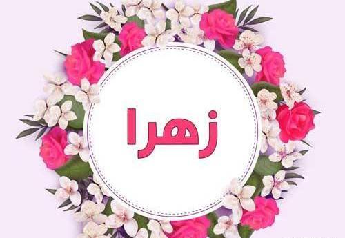 عکس زهرا گلکار