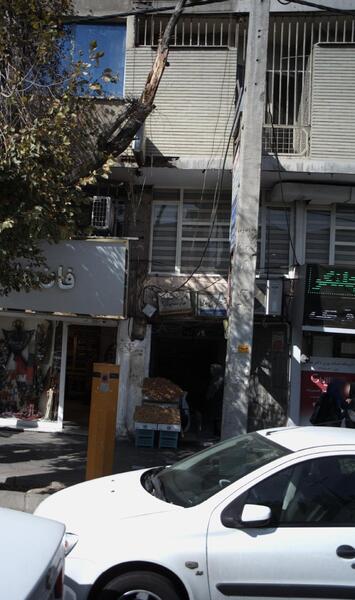 عکس دکتر زهره زارع گنبدی