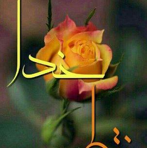 عکس زیبا پروفایل اینستا