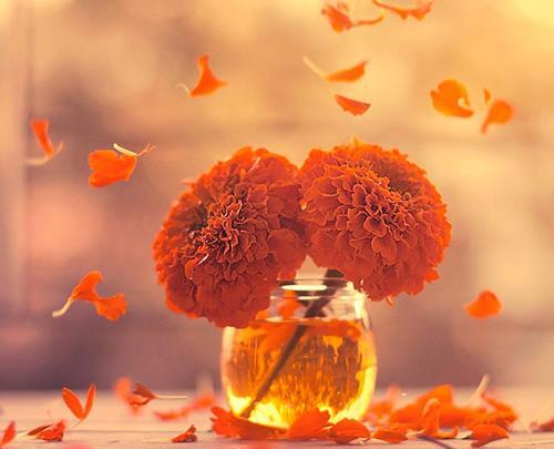عکس زیبا هنری برای پروفایل