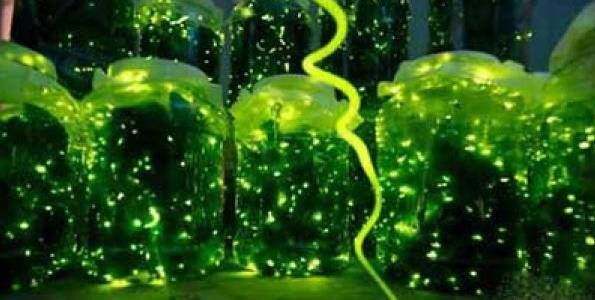 عکس سحر آمیز