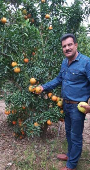 عکس سعید سعدی