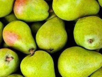 عکس سعید گلابی