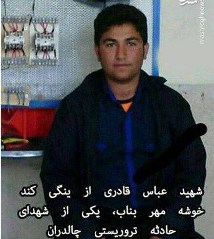 عکس سعید گلابی