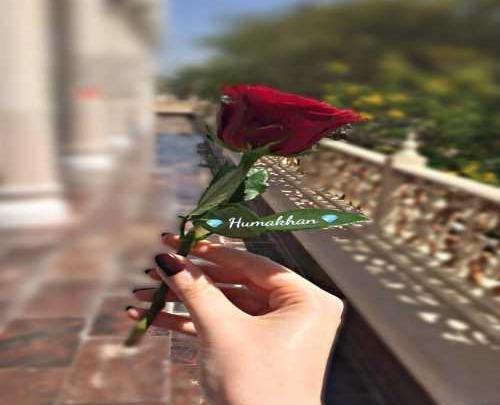 عکس دختر با گل برای پروفایل