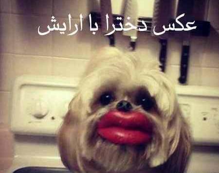 عکسهای ضد دختر خنده دار