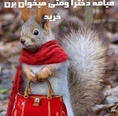 عکس تیکه دار ضد دختر